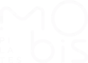 Cliente Mobis — parceiro AVAD Marketing